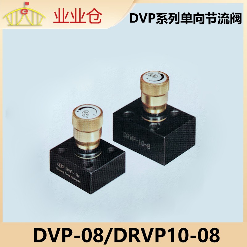 DVP-08.jpg